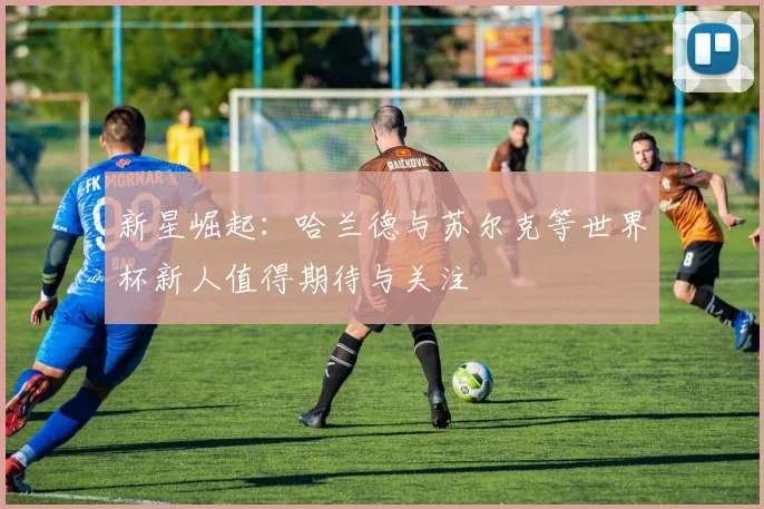 新星崛起：哈兰德与苏尔克等世界杯新人值得期待与关注
