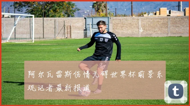阿尔瓦雷斯伤情无碍世界杯前景乐观记者最新报道