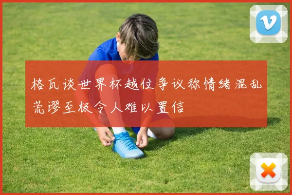 格瓦谈世界杯越位争议称情绪混乱荒谬至极令人难以置信